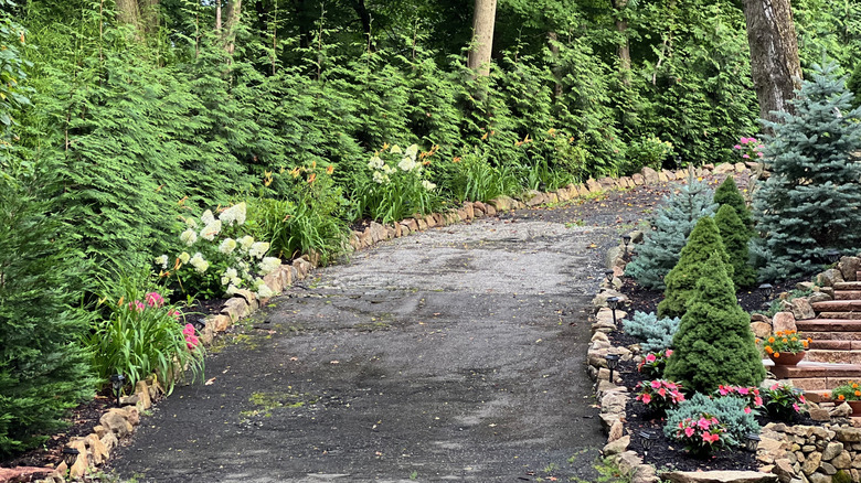 Driveway lined with various bushes and flowers