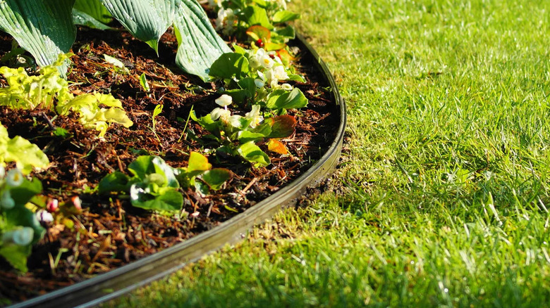 Aluminum metal garden and driveway edging between a garden bed and a lawn