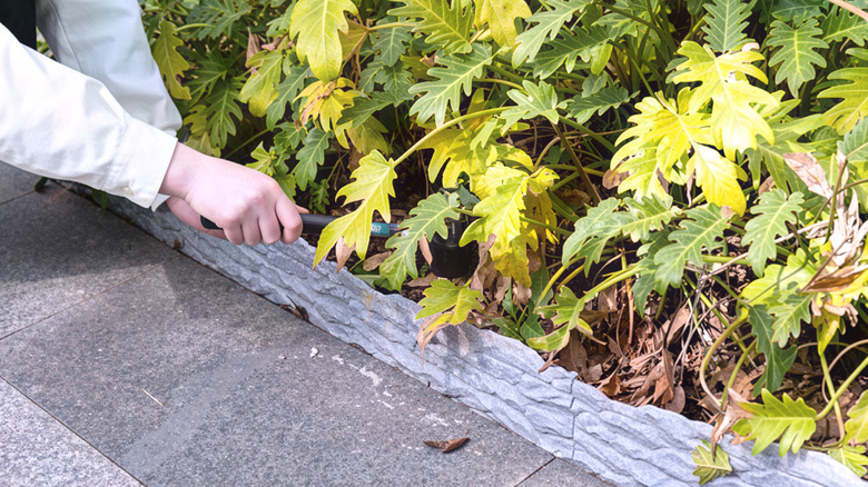 a person installing Apaspoil No Dig Garden Edging
