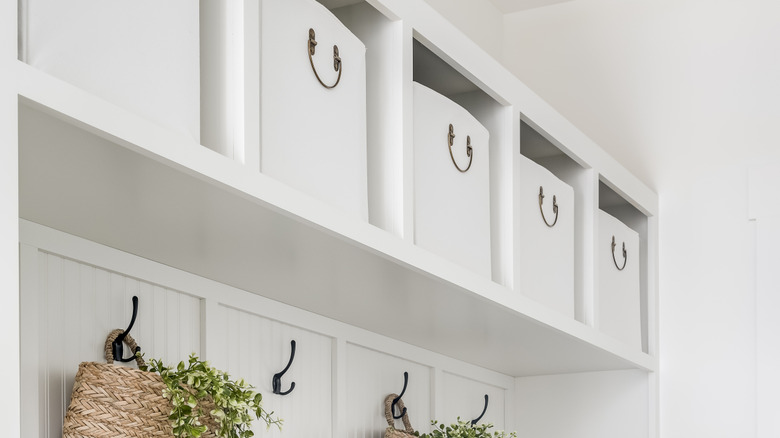 White storage cubes on an upper cubby shelf with baskets of plants below