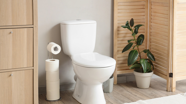Bathroom with a toilet and stack of toilet paper rolls beside it