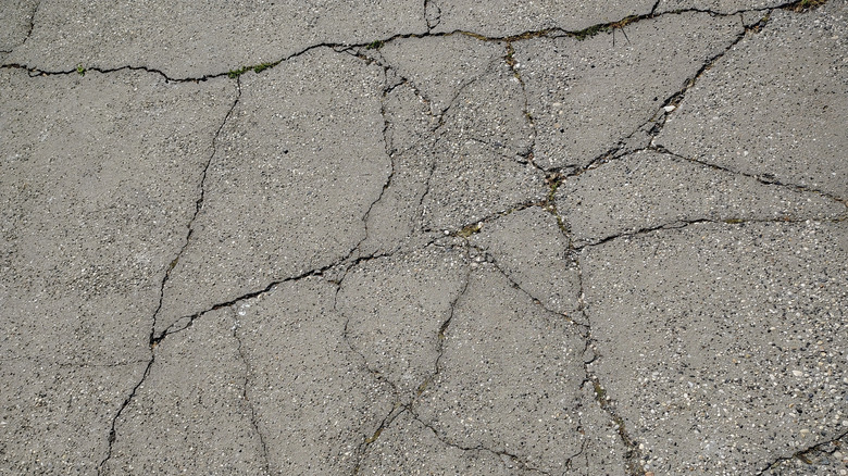 Cracked concrete.