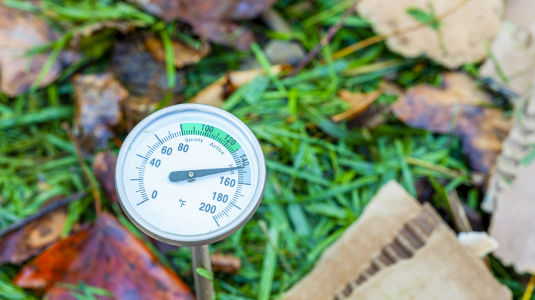 A thermometer pushed into a compost pile shows a temperature of over 40 degrees Fahrenheit on the dial.