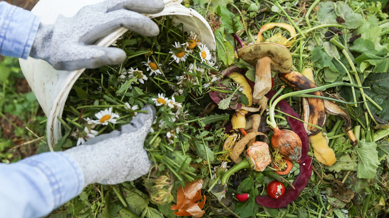A person dumping a bucket of food scraps, including flowers into a compost heap.