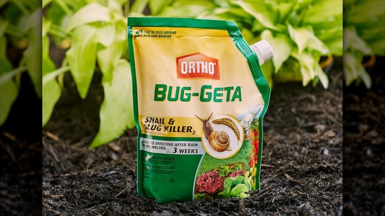 Bag of Ortho Bug-Geta Snail and Slug Killer sitting upright on patch of soil.