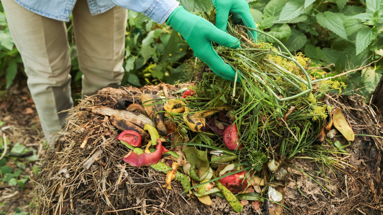 Adding vegetables to compost heap