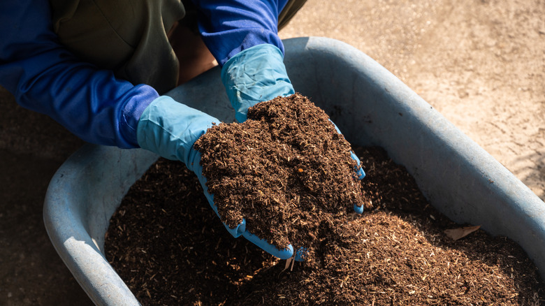 A person holding handfuls of dirt from a gray bin