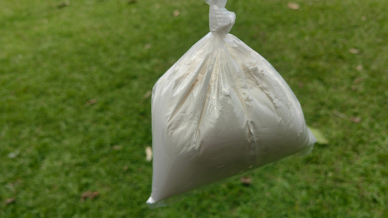 A clear plastic bag full of white flour outside on a lawn