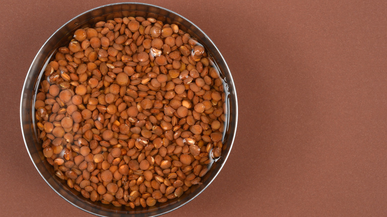 An overhead view of brown lentils soaking in water in a metal bowl on a brown background