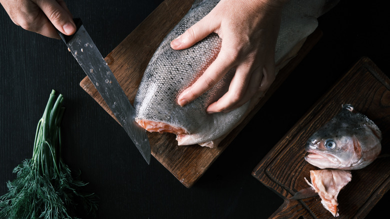 Person preparing a raw salmon