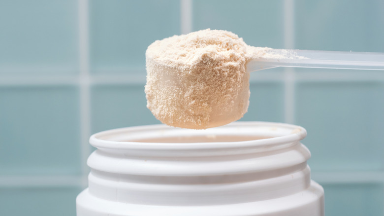 close up of a scoop of whey protein powder