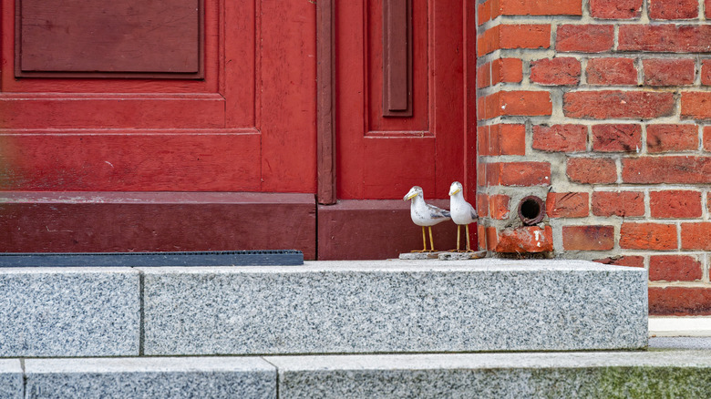 Granite steps leading up to a front door