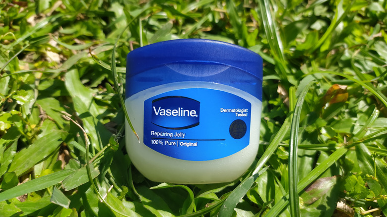 A container of vaseline lying in a grassy lawn.
