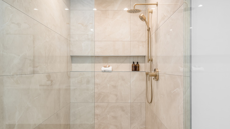 Inside of a frameless standing shwoer