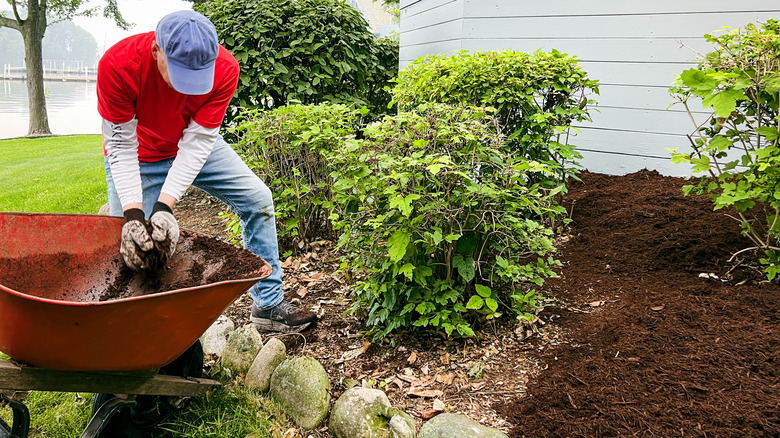 Person working in the yard and adding mulch to a garden bed.