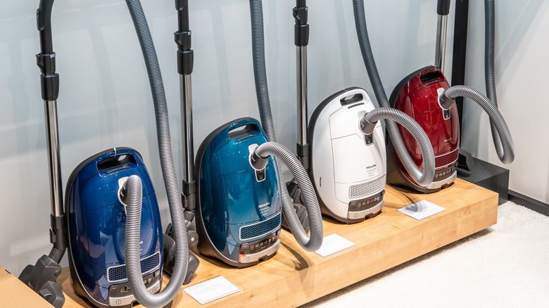 Miele canister vacuums on display at a store