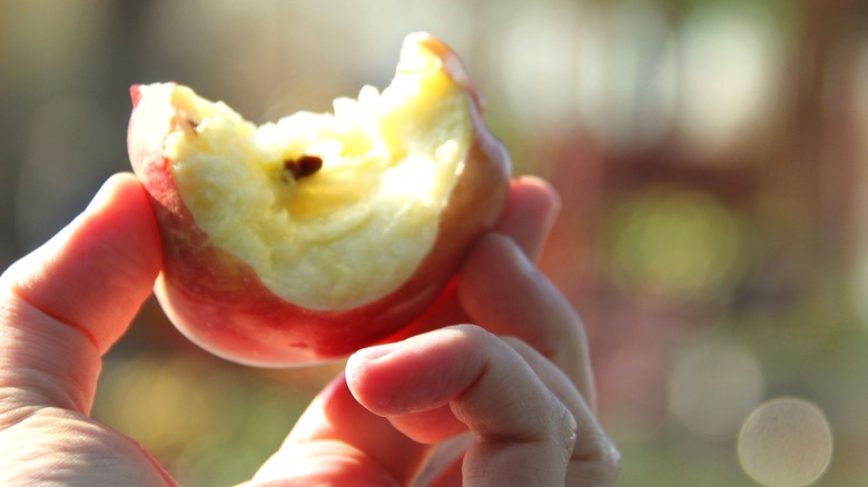 Hand holding a half-eaten apple, showing the apple core and a seed