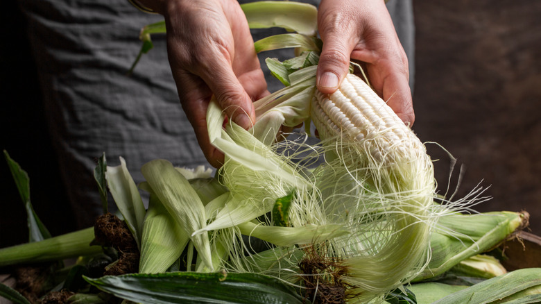 A person's hands are seen shucking corn, with a good pile of husks and silk created.