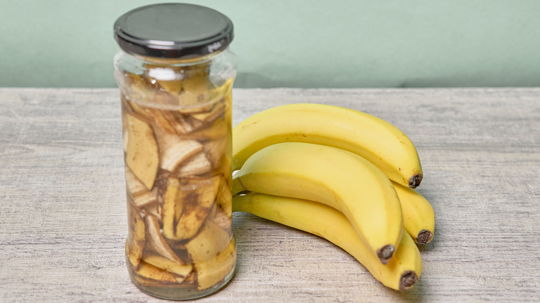 A jar filled with cut up banana peels and water on a tabletop beside a bunch of bananas.