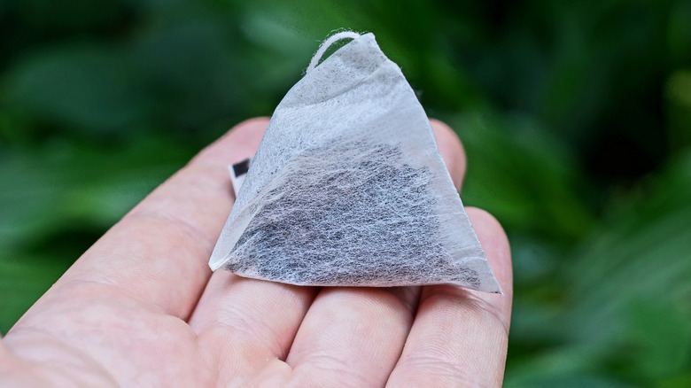 A person holding a tea bag against a green background