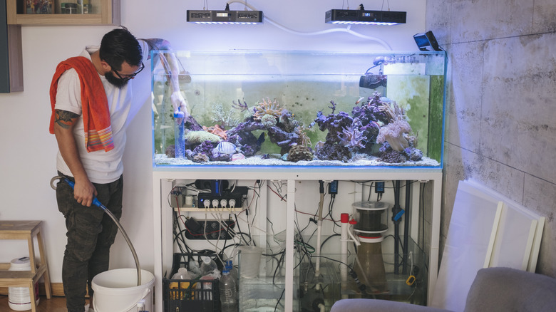 Man cleaning out a fish tank
