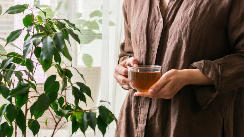 A person holding a glass cup of tea and standing next to a houseplant