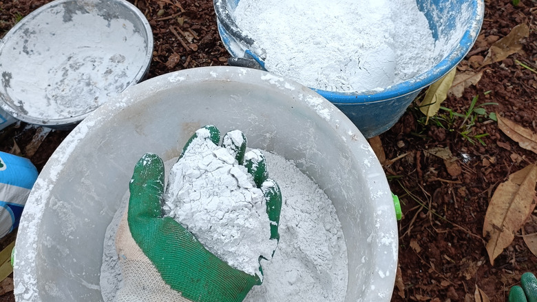 Gardener scooping gypsum in a gloved hand.