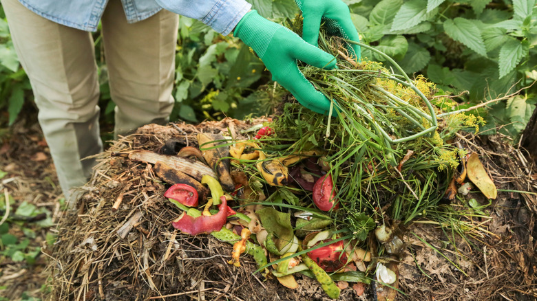 Woman adds plant materials to her compost.