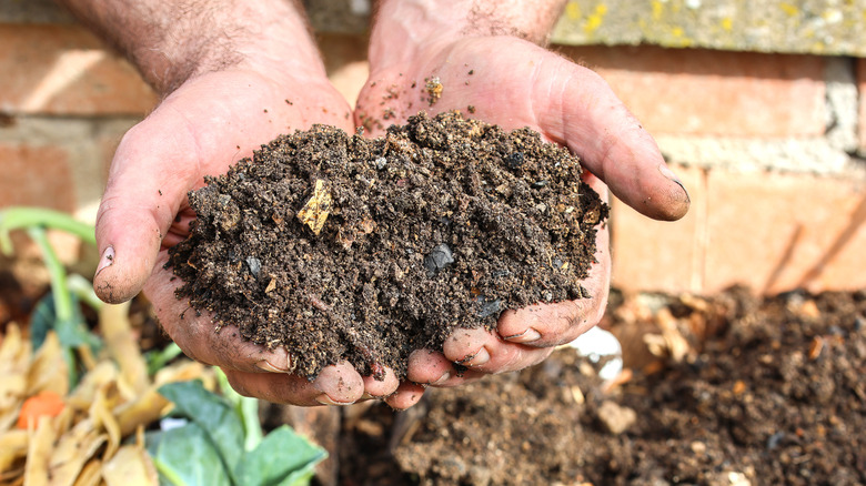 Person's cupped hands holding freshly composted dirt above compost bin.