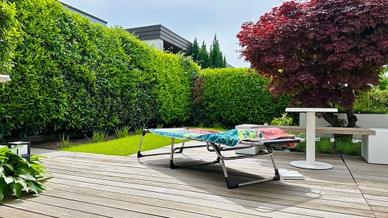 walls of evergreen shrubs create a secluded garden area