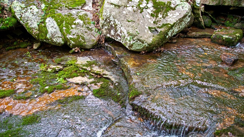Boulders and other areas around a waterfall covered in algae