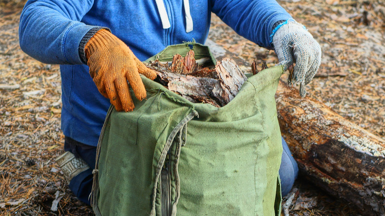 A person collecting the bark from a fallen tree.