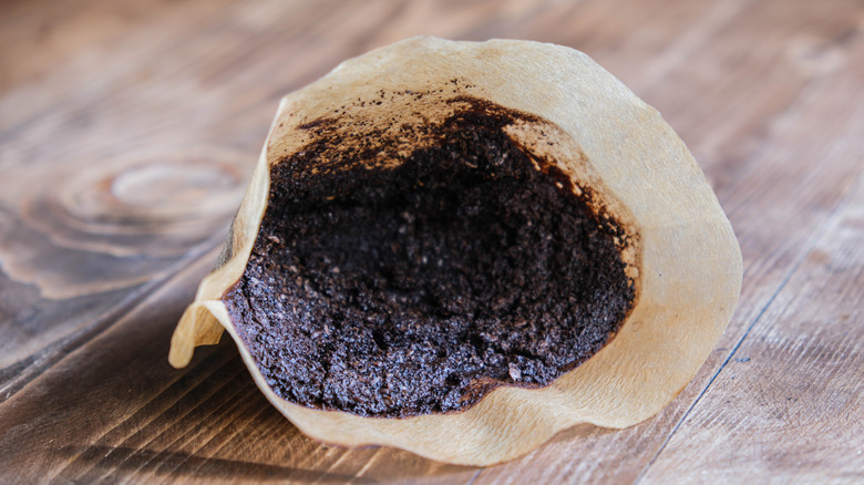A used coffee filter with coffee grounds still inside