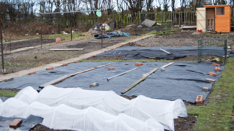 A large allotment that has black plastic laid over the ground and held down with bricks and planks of wood to get rid of weeds