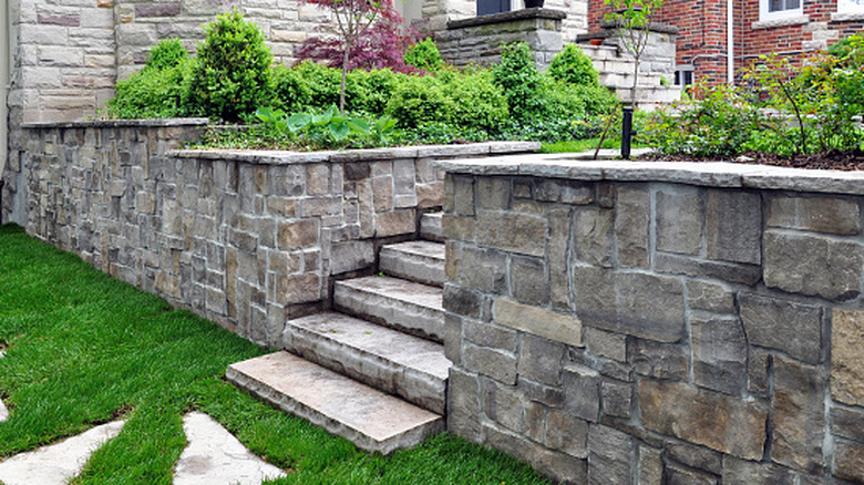 A stone retaining wall with various shrubs planted on either side