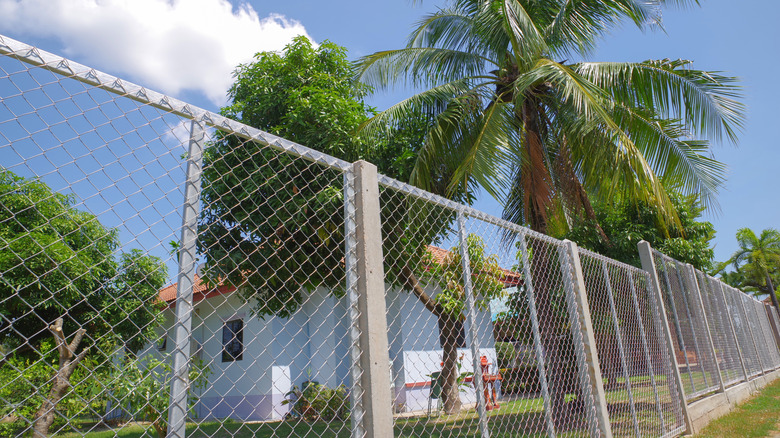 Closeup on chain link fence outside of home