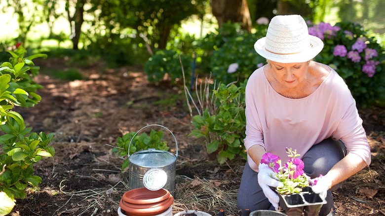 A person kneels in their shade garden next to a watering can and empty pots, removing a flower from a nursery container