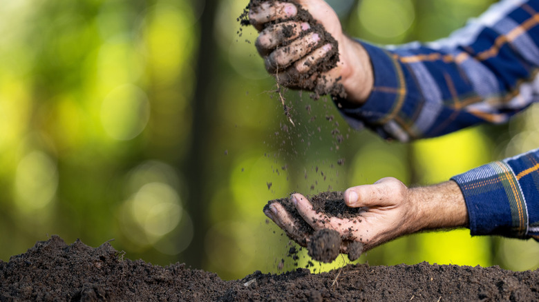 Male hands checking the texture of clay soil
