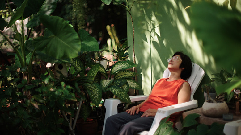 person sitting in Adirondack chair in shaded garden with various shade-loving plants