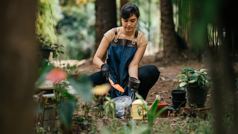 Young woman transplanting young plants in a shady yard