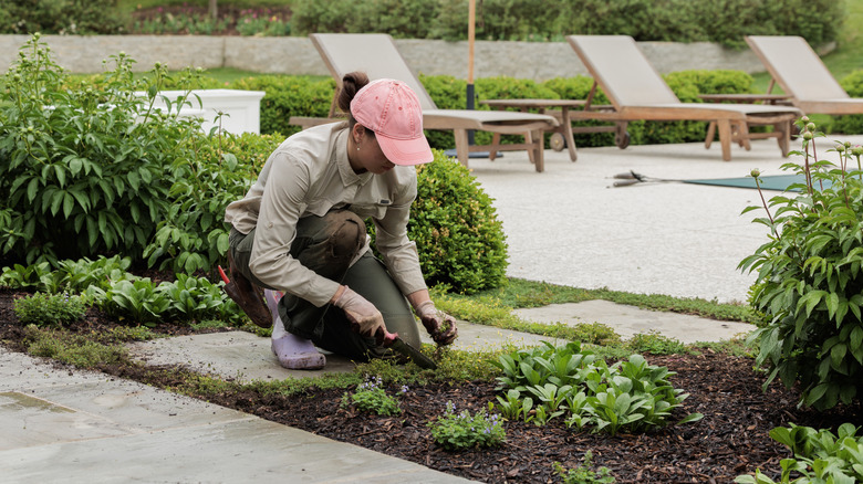 Woman removing weeds from a garden bed