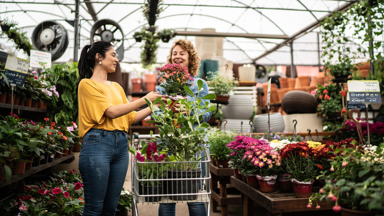 Two women buying plants at a gardening store