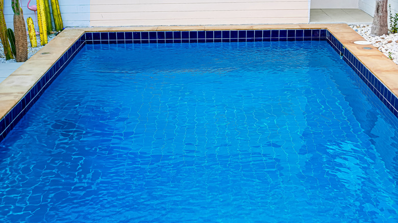 A saltwater pool in a home's backyard