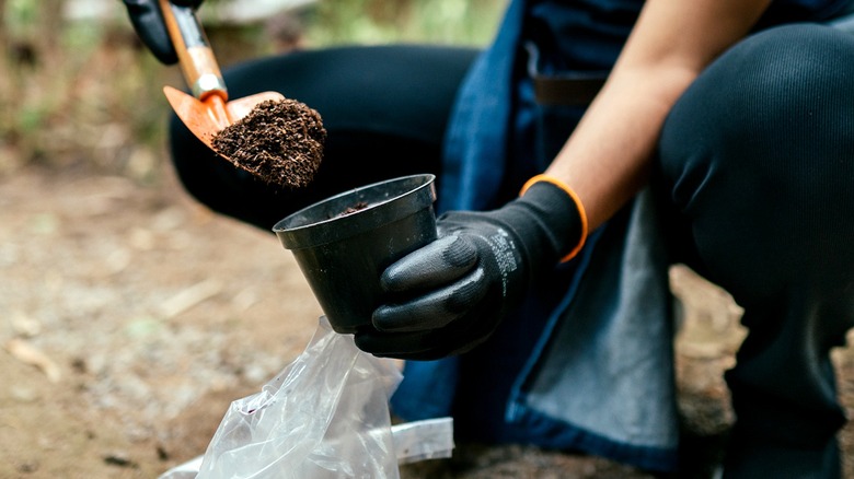 Close-up of a person adding soil to a small container in a garden