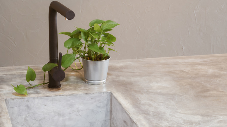 A concrete sink and countertop with black faucet and a trailing houseplant beside the sink.