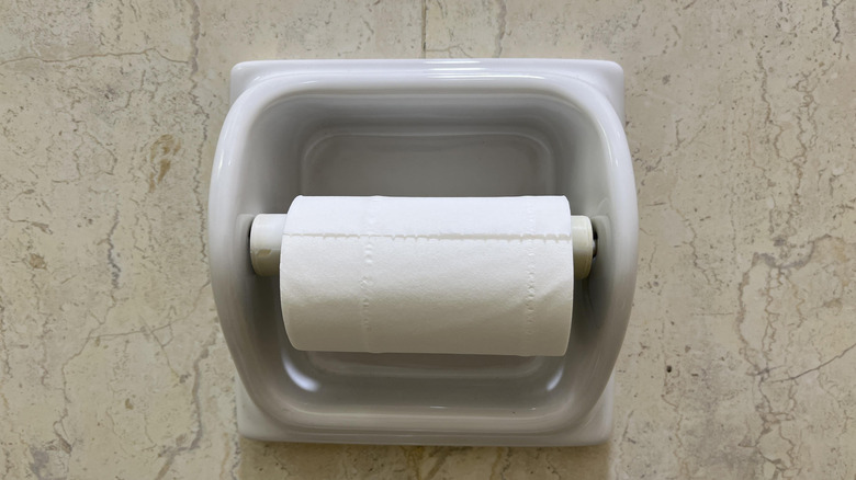 Ceramic toilet paper holder mounted on a wall