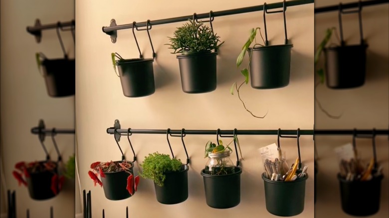 Screenshot of IKEA HULTARP serving as plant holder inside home