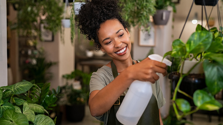 Woman watering plants inside her home with a spray bottle