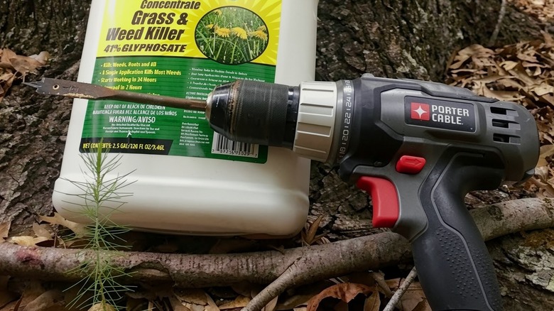 a drill and a bottle of a systemic herbicide with a tree root and trunk