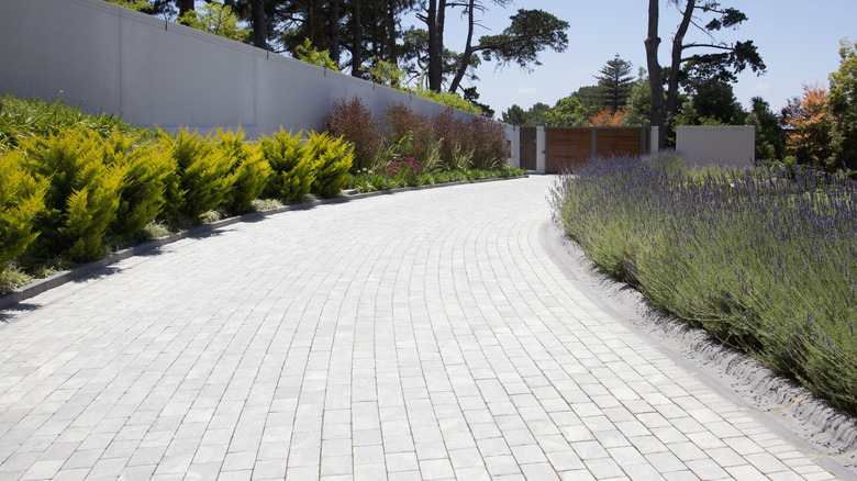 Light gray stone paver driveway edged with plants.